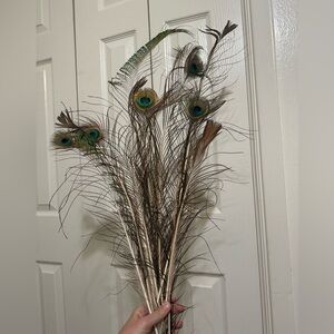 Real vintage peacock feathers 2 large 1 medium 1 small lot.